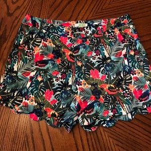 Jade shorts New with tags